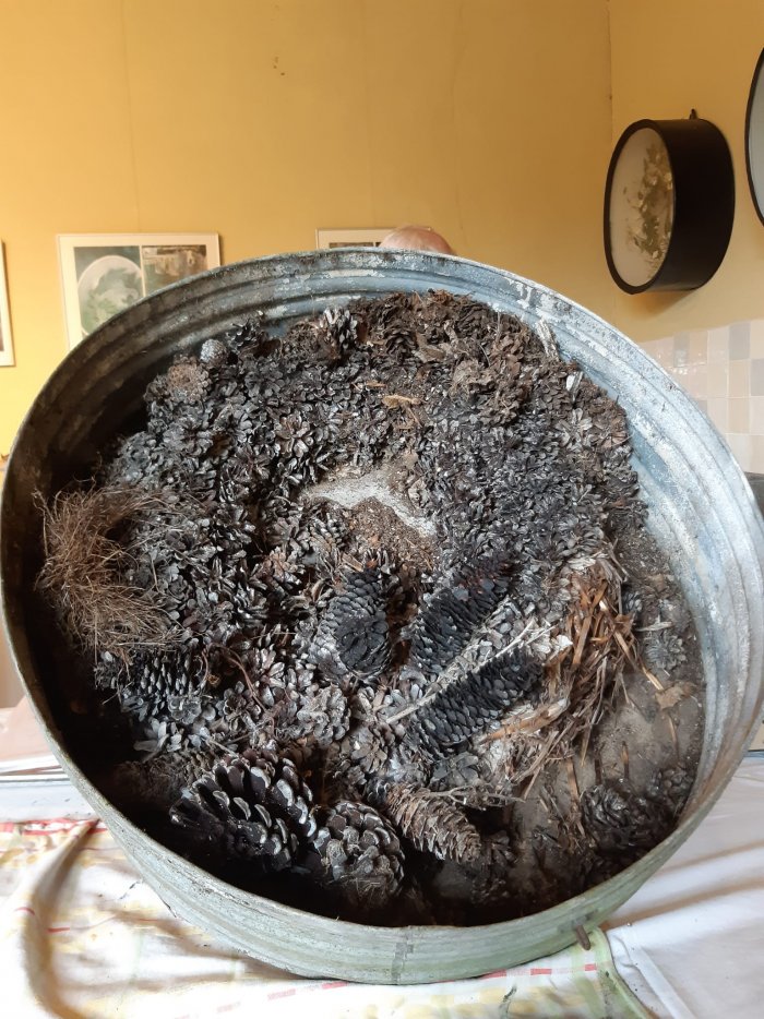 De trommel zoals die werd gevonden in het werkhok