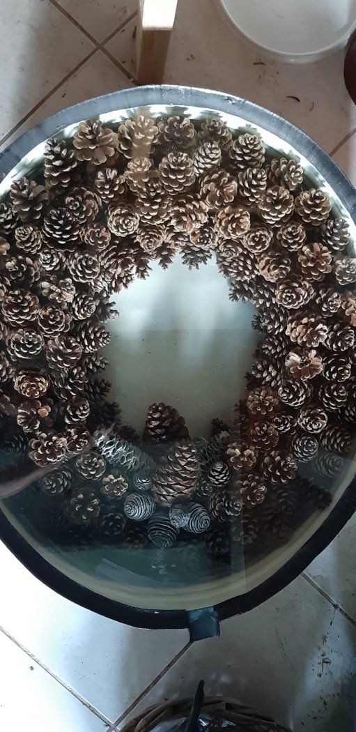 De gerestaureerde trommel met de nieuwe dennenappelkrans